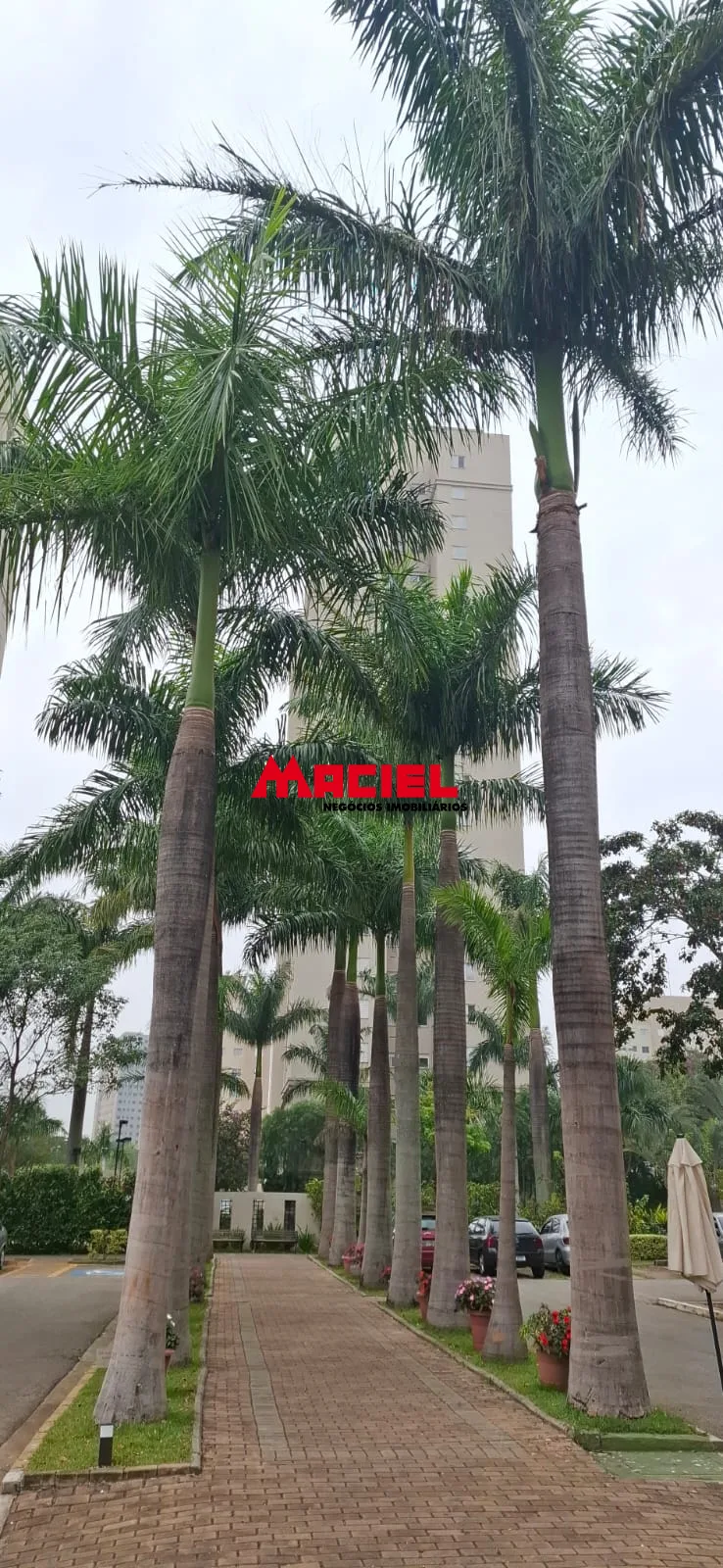Alugar Apartamento / Padr&atilde;o em S&atilde;o Jos&eacute; dos Campos R$ 2.300,00 - Foto 26