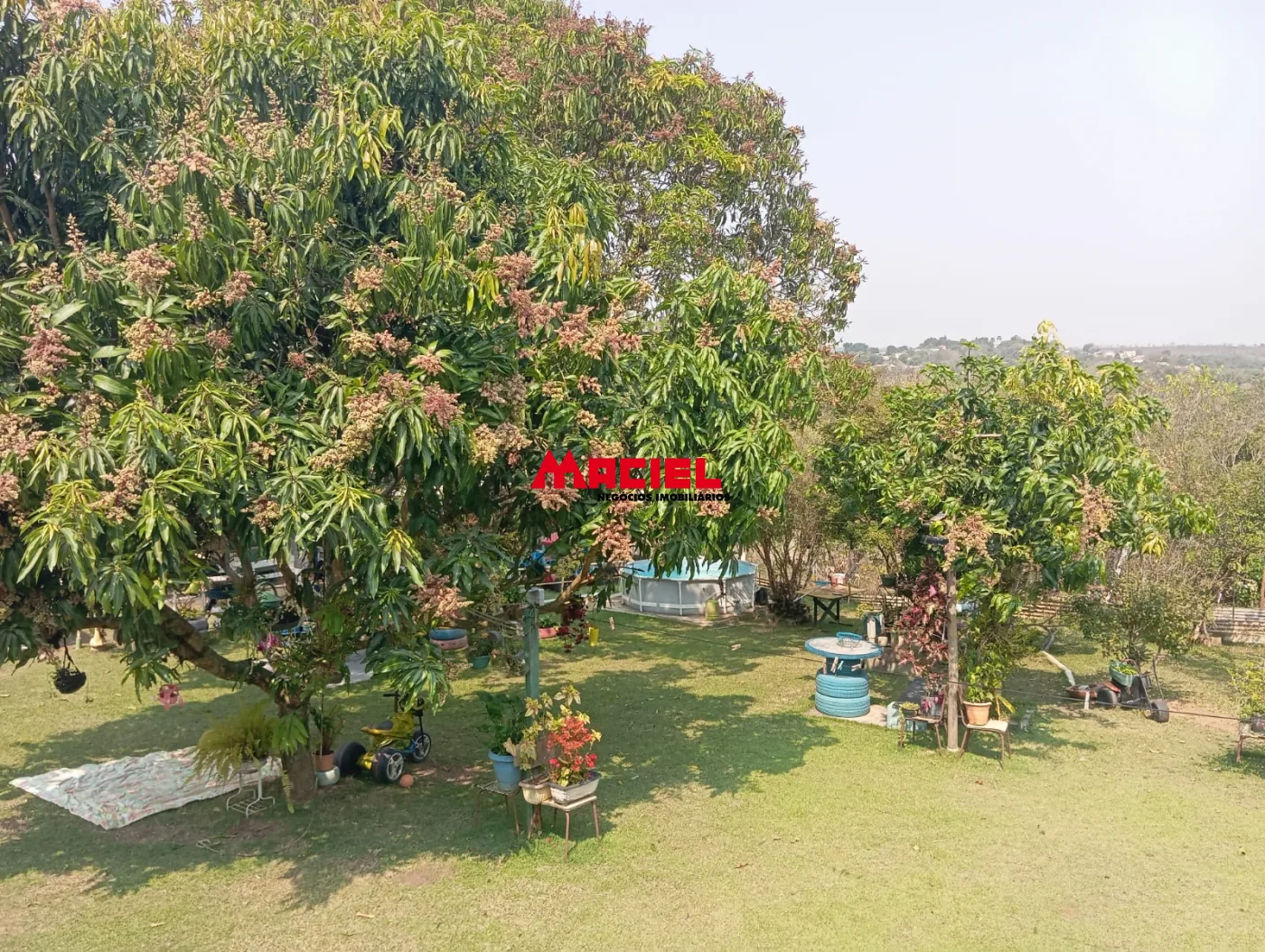 Comprar Rural / Ch&aacute;cara em S&atilde;o Jos&eacute; dos Campos R$ 535.000,00 - Foto 24