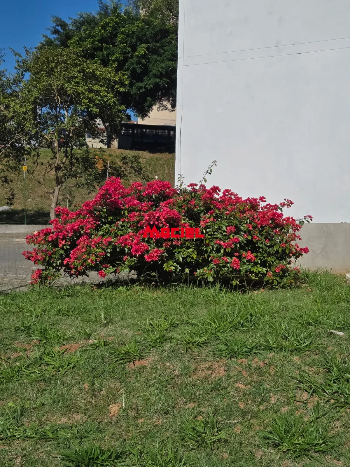 Alugar Apartamento / Padr&atilde;o em S&atilde;o Jos&eacute; dos Campos R$ 1.500,00 - Foto 22