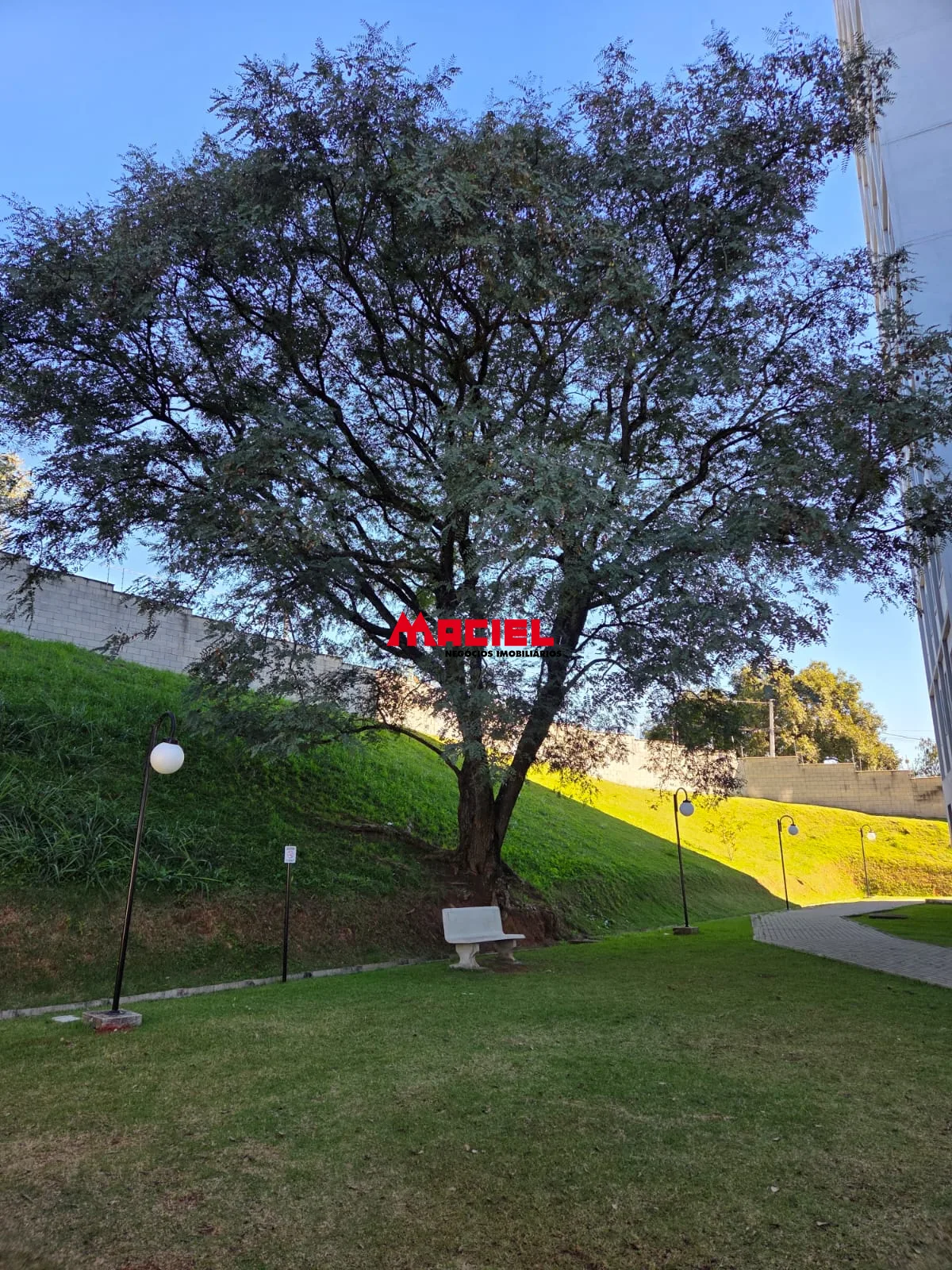 Alugar Apartamento / Padr&atilde;o em S&atilde;o Jos&eacute; dos Campos R$ 1.500,00 - Foto 23