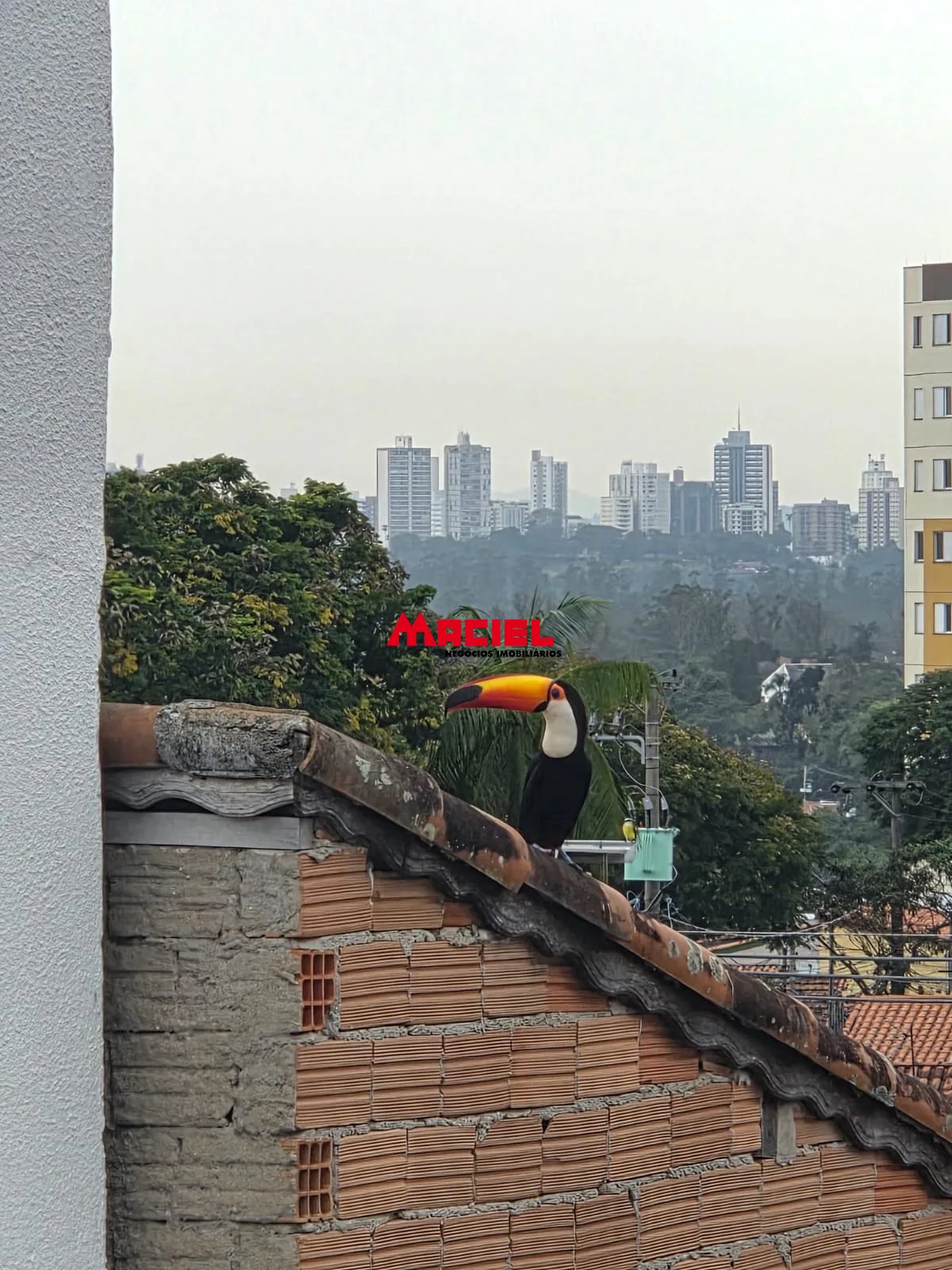 Comprar Casa / Padr&atilde;o em S&atilde;o Jos&eacute; dos Campos R$ 699.000,00 - Foto 17