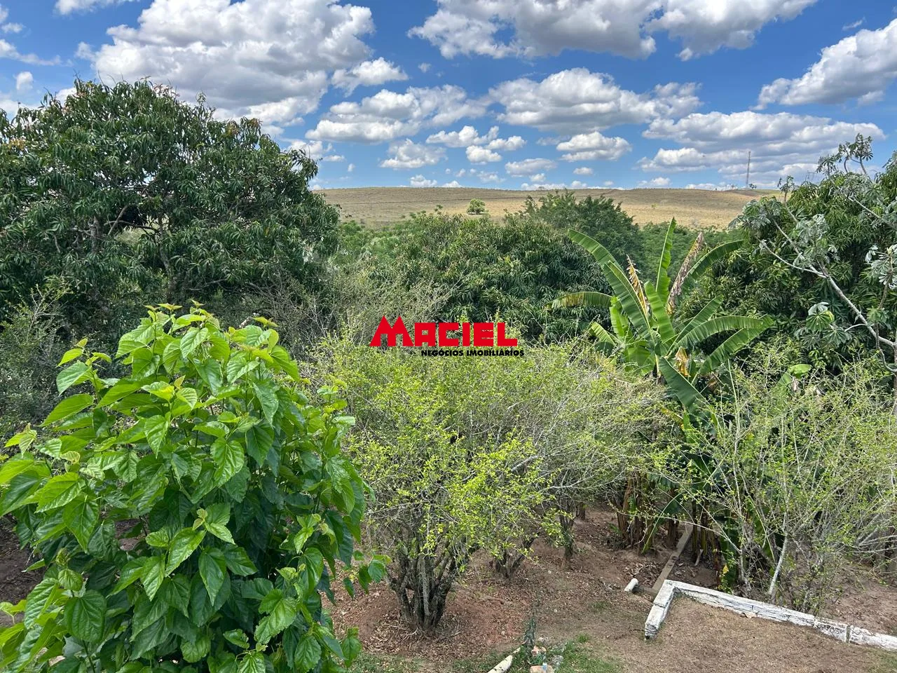 Comprar Rural / Ch&aacute;cara em S&atilde;o Jos&eacute; dos Campos R$ 780.000,00 - Foto 1