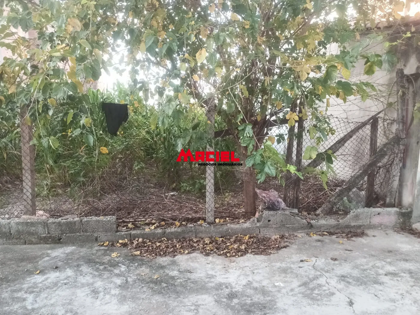 Comprar Comercial / Terreno em S&atilde;o Jos&eacute; dos Campos R$ 138.500,00 - Foto 2