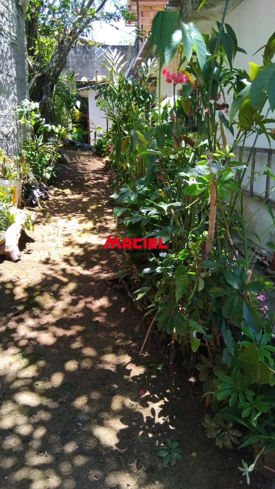 Comprar Casa / Sobrado em Paraty R$ 800.000,00 - Foto 22