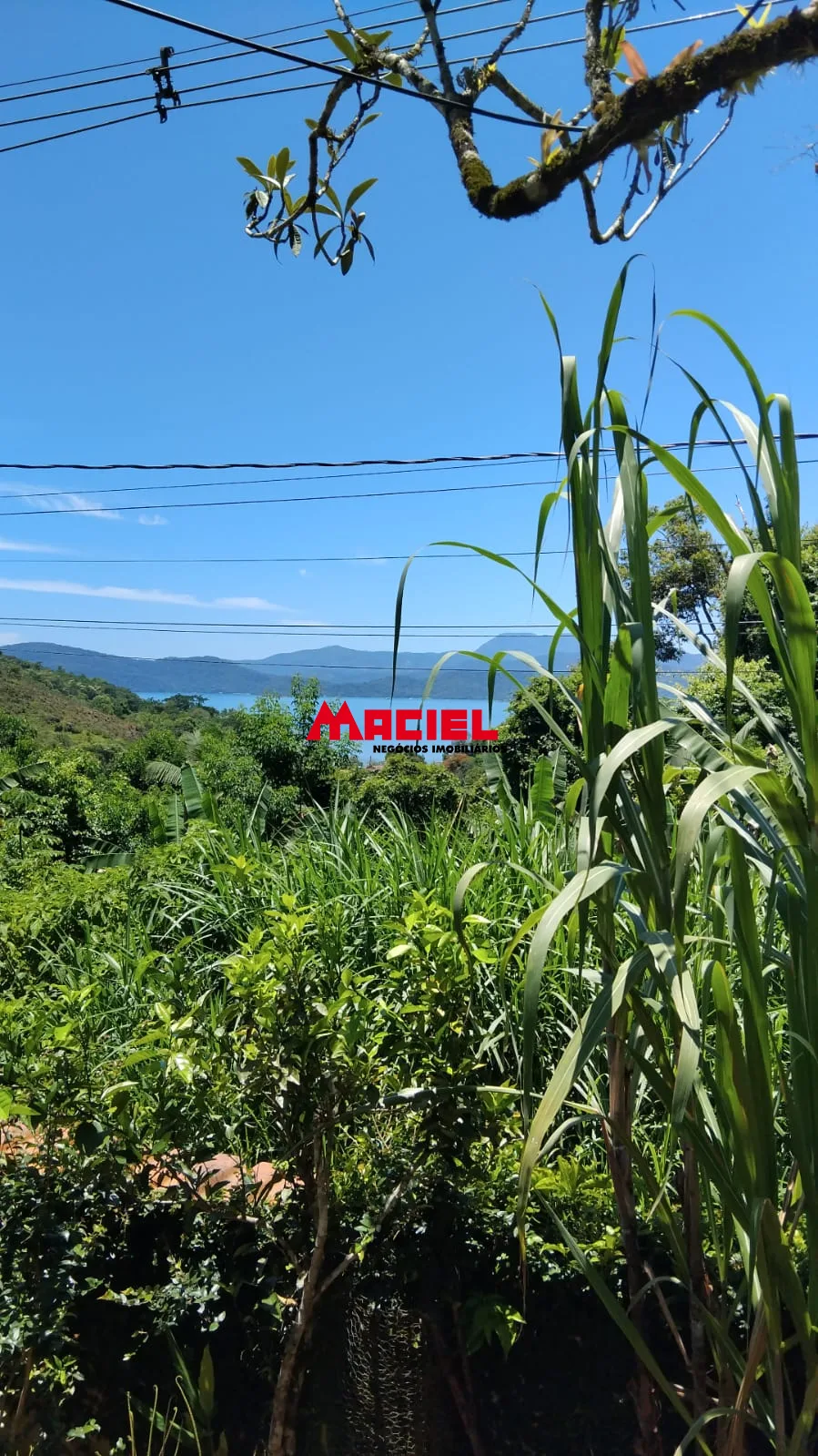Comprar Casa / Sobrado em Paraty R$ 800.000,00 - Foto 23