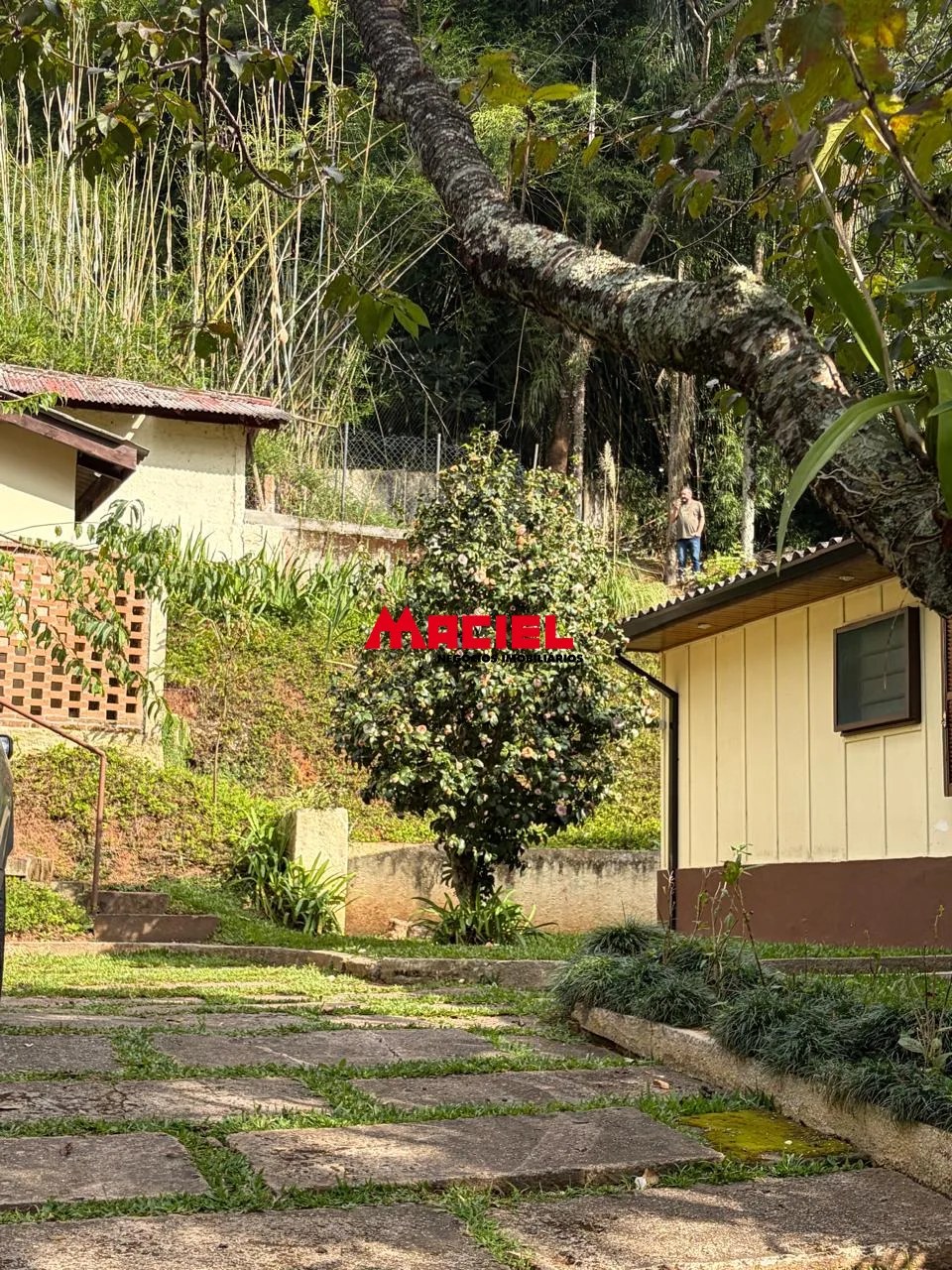 Comprar Rural / Ch&aacute;cara em Santo Ant&ocirc;nio do Pinhal R$ 1.100.000,00 - Foto 39