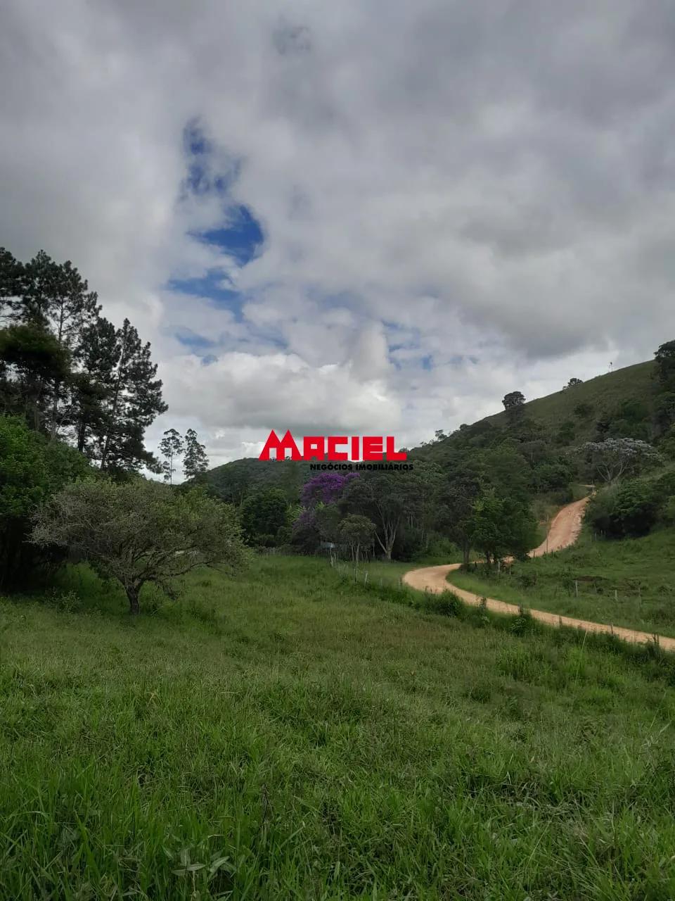 Comprar Rural / Fazenda, S&iacute;tio e Ch&aacute;cara em Reden&ccedil;&atilde;o da Serra R$ 2.500.000,00 - Foto 7