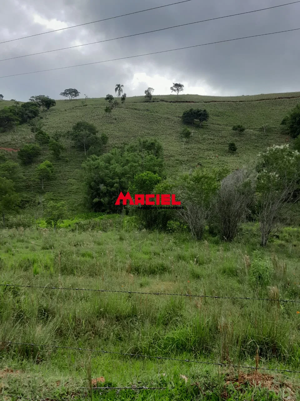Comprar Rural / Fazenda, S&iacute;tio e Ch&aacute;cara em Reden&ccedil;&atilde;o da Serra R$ 2.500.000,00 - Foto 12