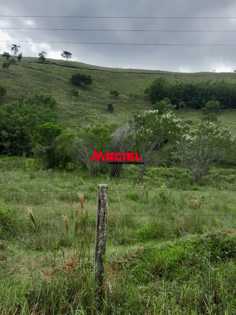 Comprar Rural / Fazenda, S&iacute;tio e Ch&aacute;cara em Reden&ccedil;&atilde;o da Serra R$ 2.500.000,00 - Foto 13