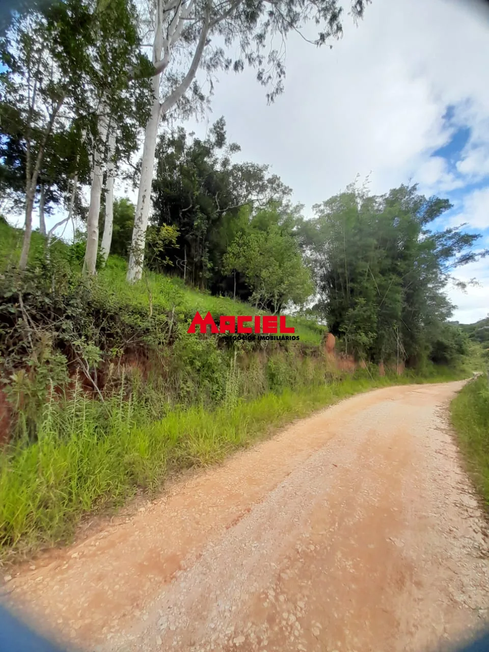 Comprar Rural / Fazenda, S&iacute;tio e Ch&aacute;cara em Reden&ccedil;&atilde;o da Serra R$ 2.500.000,00 - Foto 3
