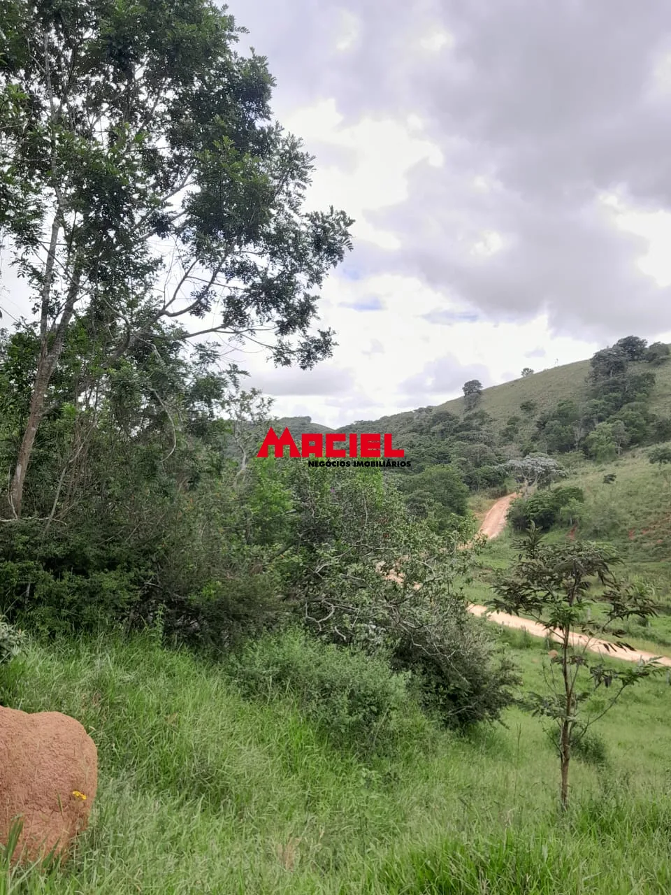 Comprar Rural / Fazenda, S&iacute;tio e Ch&aacute;cara em Reden&ccedil;&atilde;o da Serra R$ 2.500.000,00 - Foto 8