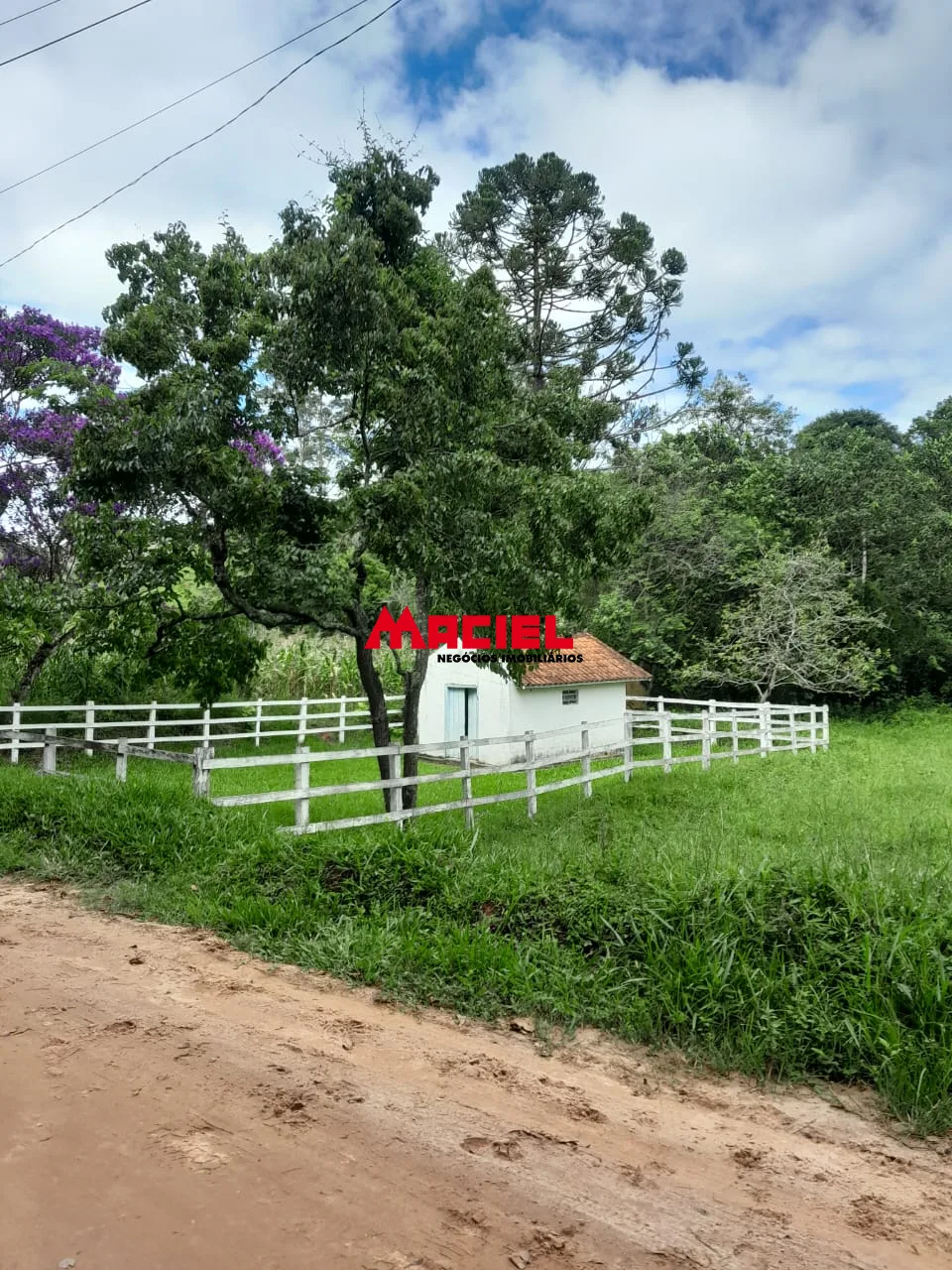 Comprar Rural / Fazenda, S&iacute;tio e Ch&aacute;cara em Reden&ccedil;&atilde;o da Serra R$ 2.500.000,00 - Foto 9