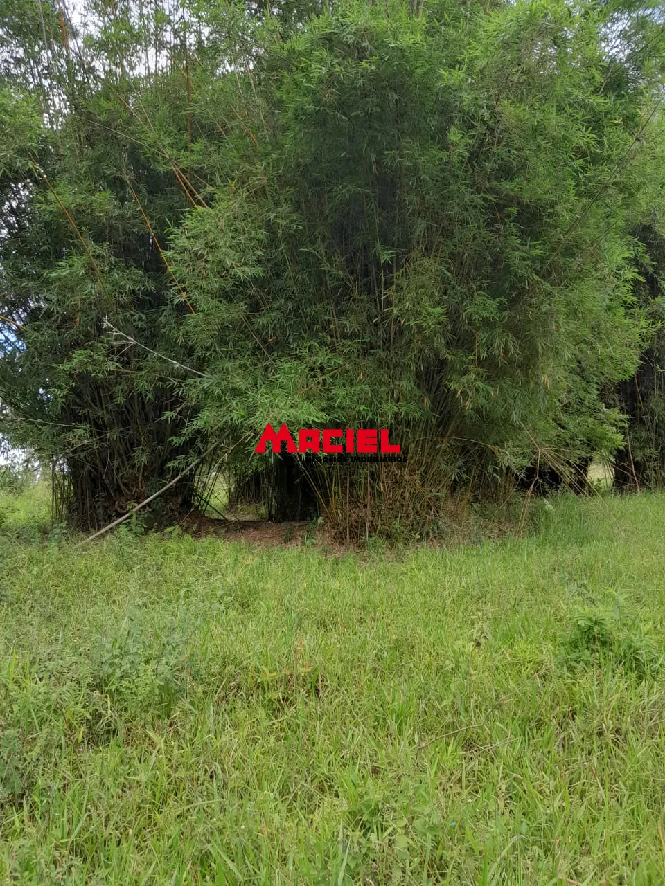 Comprar Rural / Fazenda, S&iacute;tio e Ch&aacute;cara em Reden&ccedil;&atilde;o da Serra R$ 2.500.000,00 - Foto 14