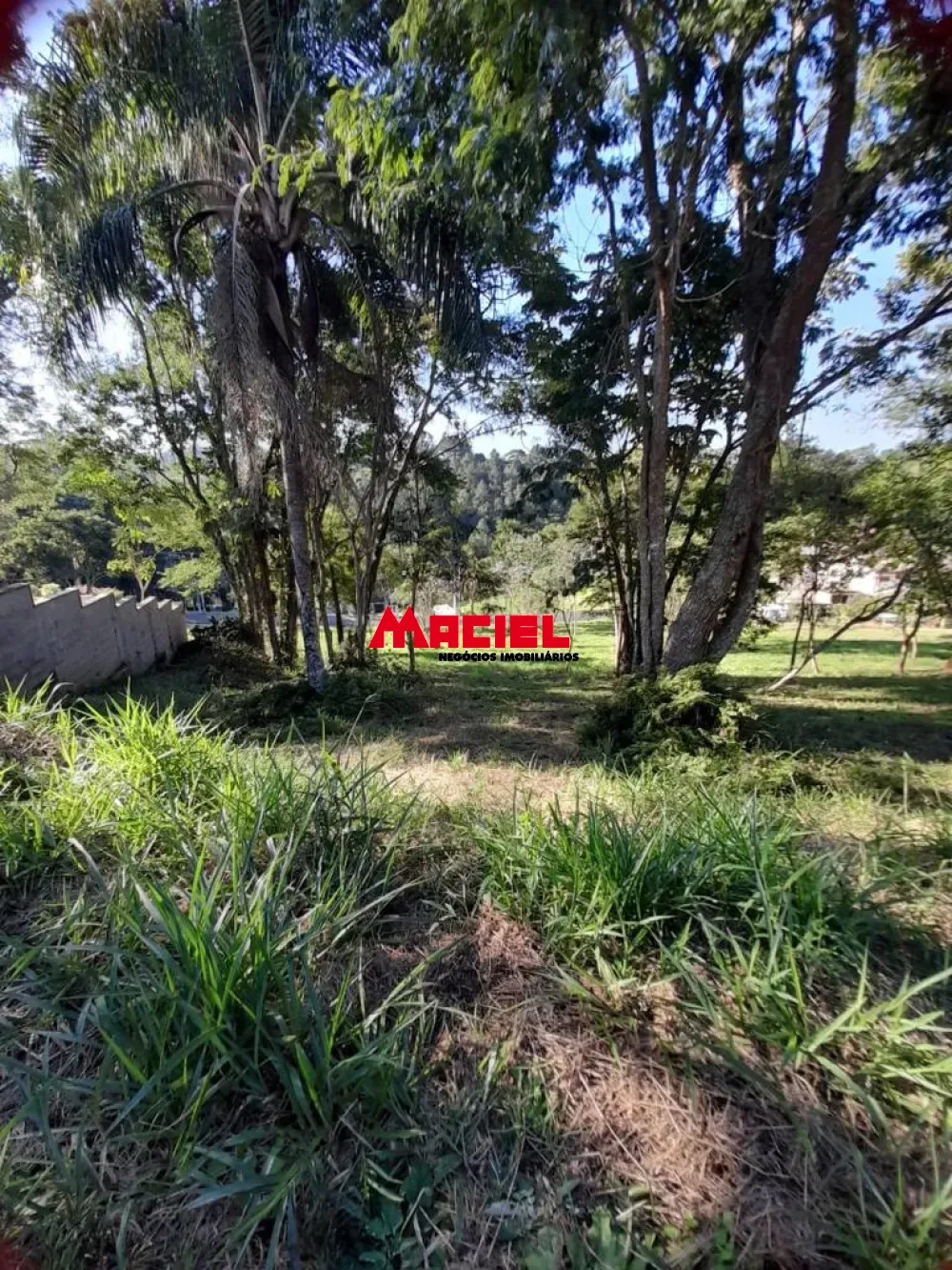 Comprar Terreno / Condom&iacute;nio em Jambeiro R$ 430.000,00 - Foto 3