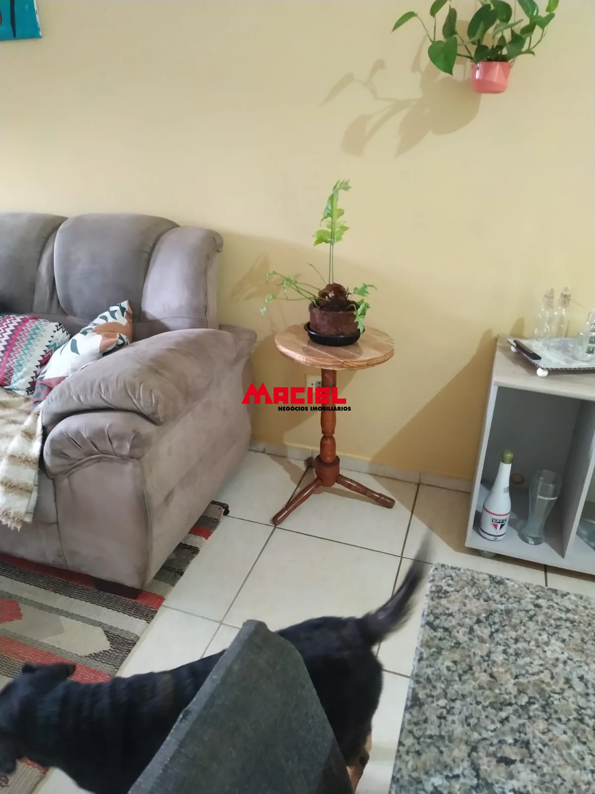 Comprar Casa / Padr&atilde;o em S&atilde;o Jos&eacute; dos Campos R$ 570.000,00 - Foto 10