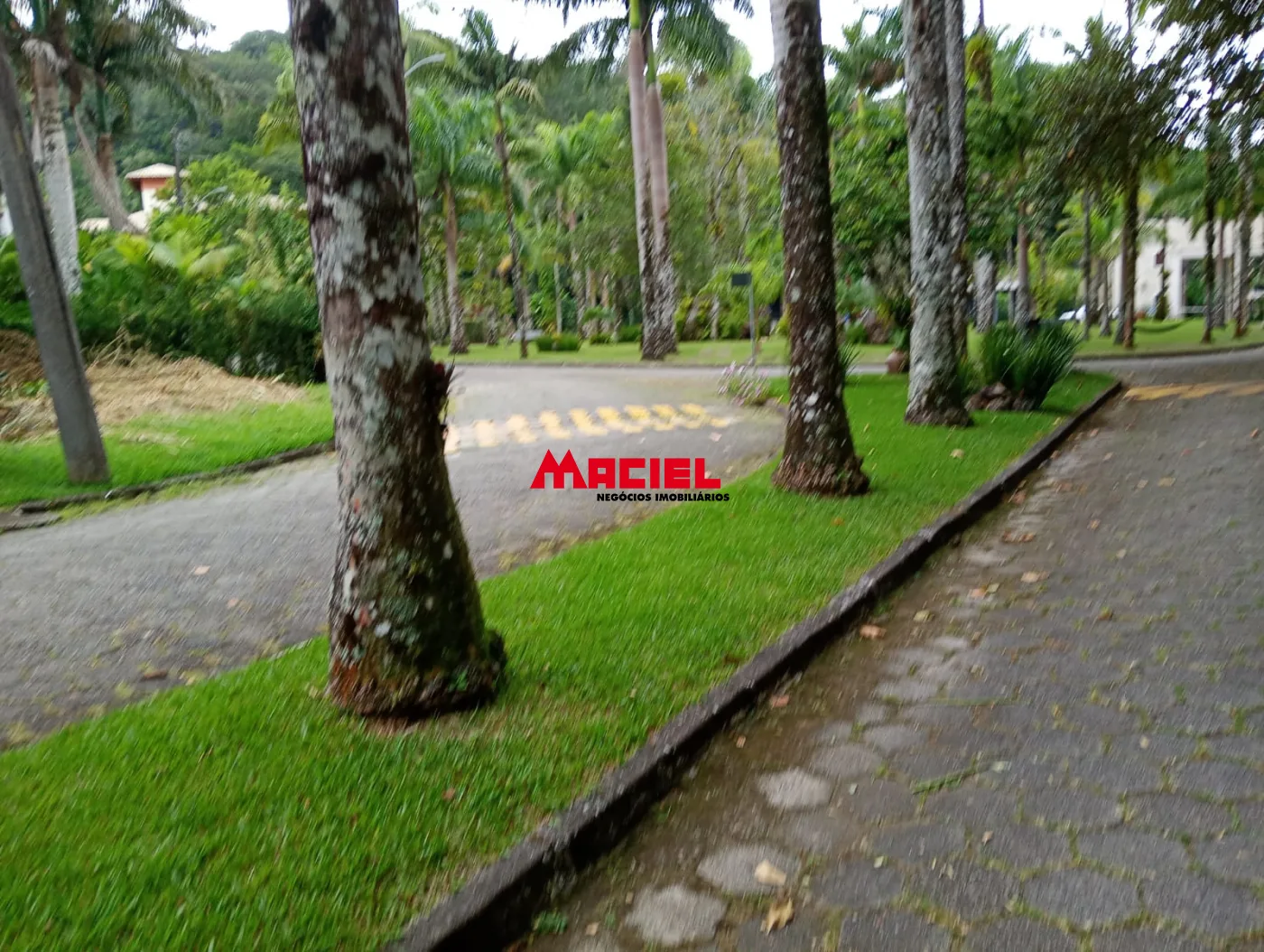 Comprar Terreno / Condom&iacute;nio em Caraguatatuba R$ 530.000,00 - Foto 15