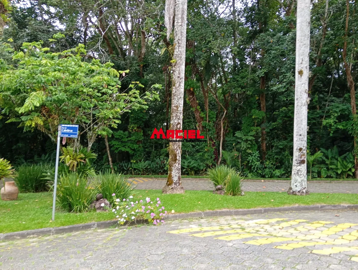 Comprar Terreno / Condom&iacute;nio em Caraguatatuba R$ 530.000,00 - Foto 16