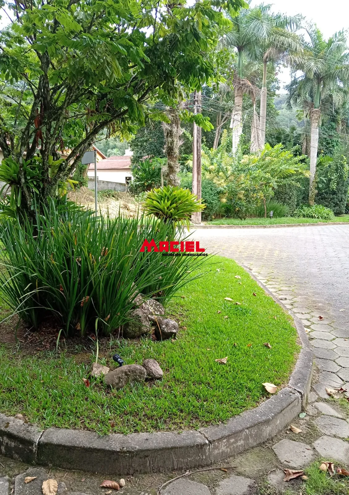 Comprar Terreno / Condom&iacute;nio em Caraguatatuba R$ 530.000,00 - Foto 17