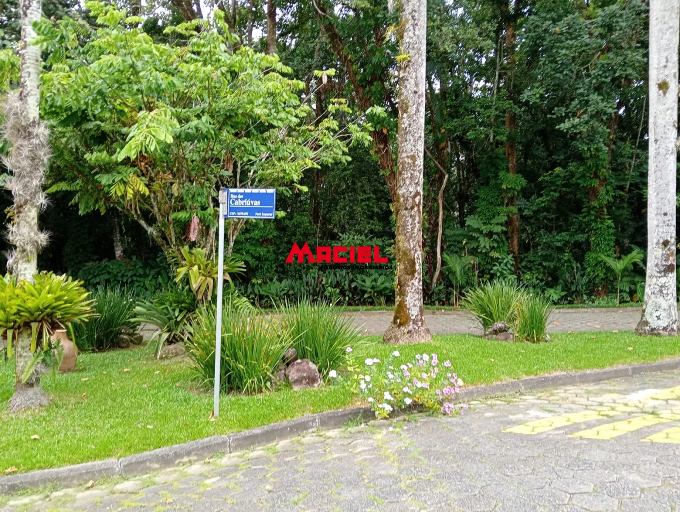 Comprar Terreno / Condom&iacute;nio em Caraguatatuba R$ 530.000,00 - Foto 18