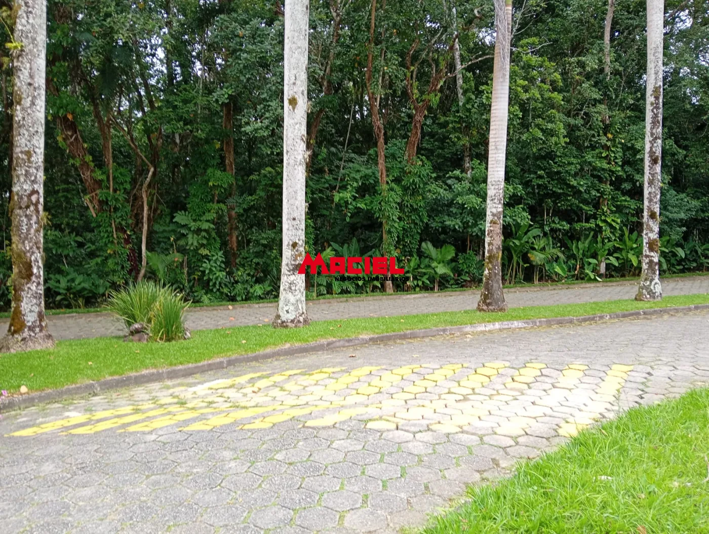 Comprar Terreno / Condom&iacute;nio em Caraguatatuba R$ 530.000,00 - Foto 20