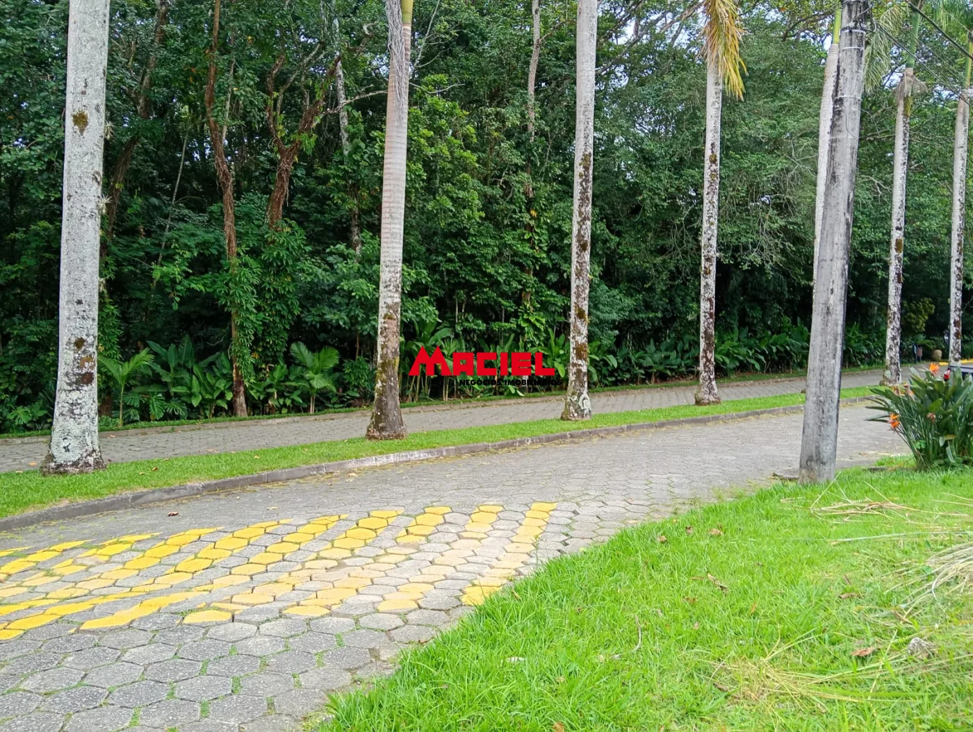 Comprar Terreno / Condom&iacute;nio em Caraguatatuba R$ 530.000,00 - Foto 21