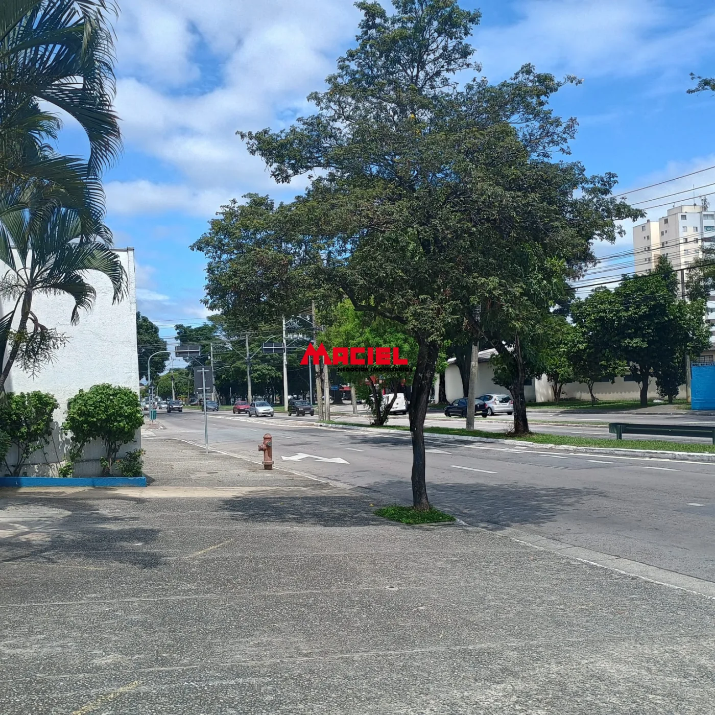 Alugar Comercial / Pr&eacute;dio em S&atilde;o Jos&eacute; dos Campos R$ 5.900,00 - Foto 12