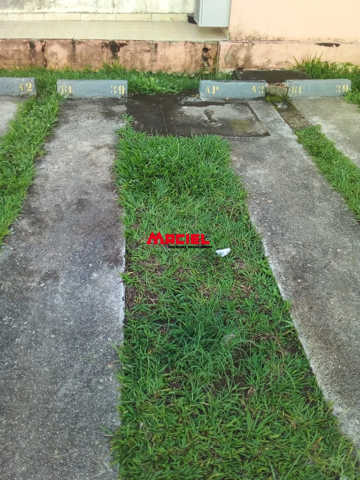 Alugar Apartamento / Padr&atilde;o em S&atilde;o Jos&eacute; dos Campos R$ 1.600,00 - Foto 15