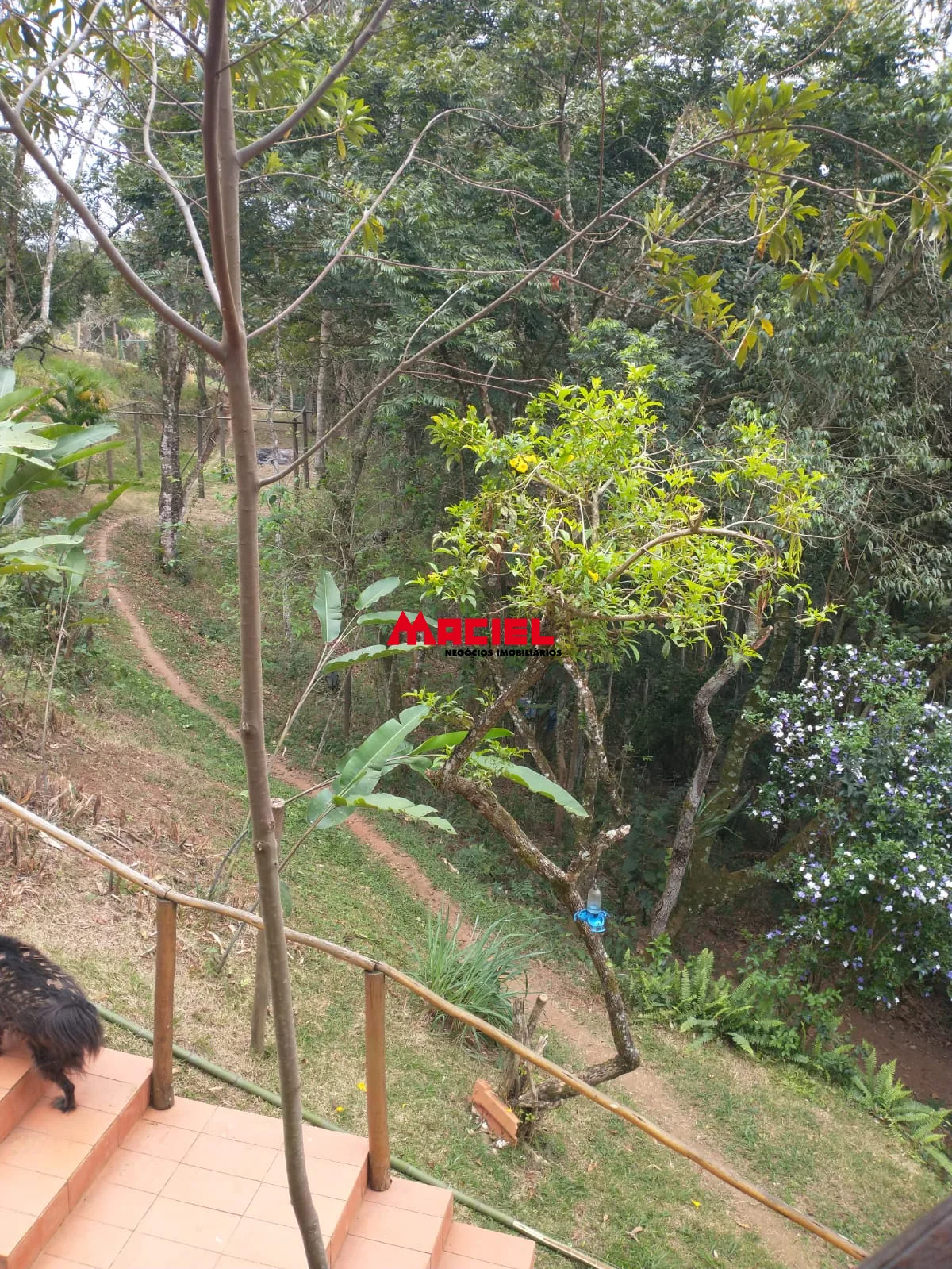 Comprar Casa / Condom&iacute;nio em S&atilde;o Jos&eacute; dos Campos R$ 1.800.000,00 - Foto 15