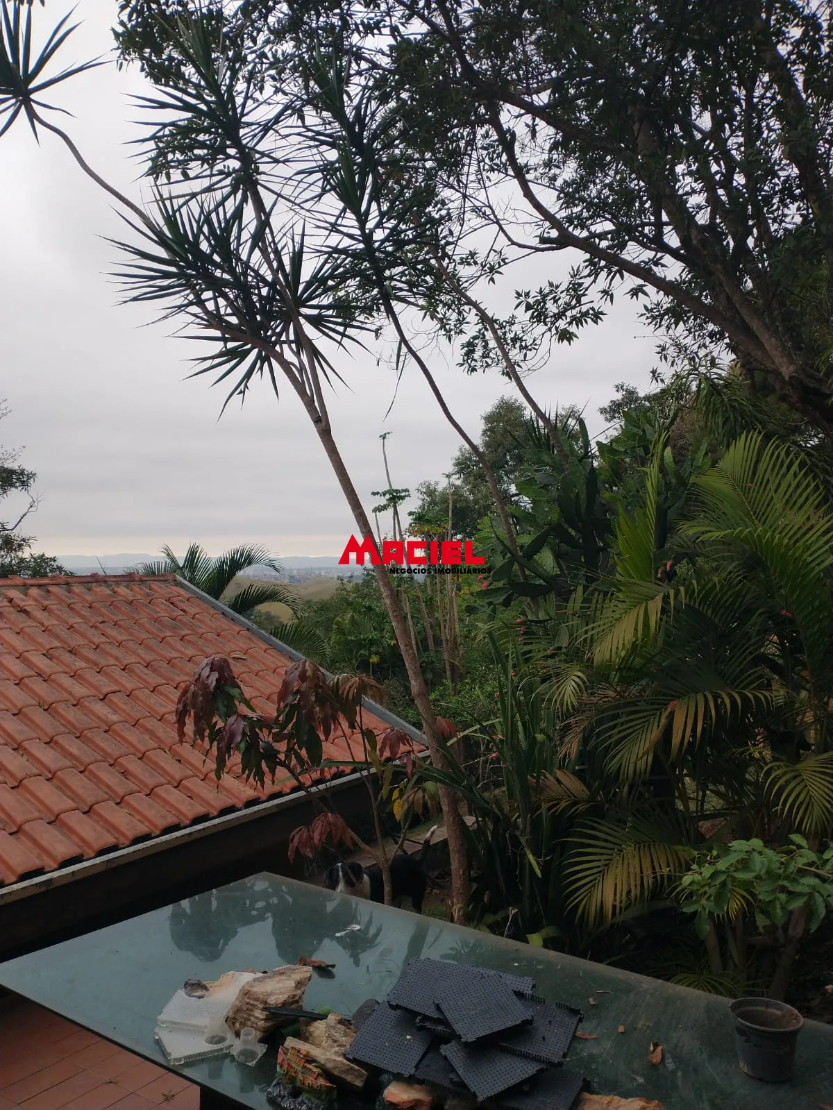 Comprar Casa / Condom&iacute;nio em S&atilde;o Jos&eacute; dos Campos R$ 1.800.000,00 - Foto 65