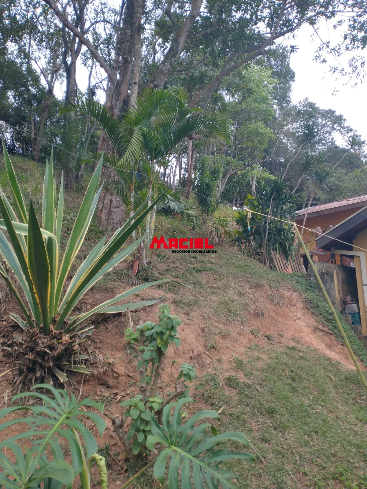 Comprar Casa / Condom&iacute;nio em S&atilde;o Jos&eacute; dos Campos R$ 1.800.000,00 - Foto 68