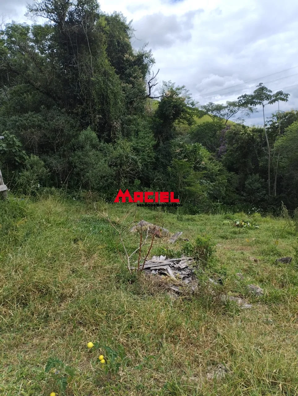 Comprar Terreno / &Aacute;rea em Arape&iacute; R$ 990.000,00 - Foto 2