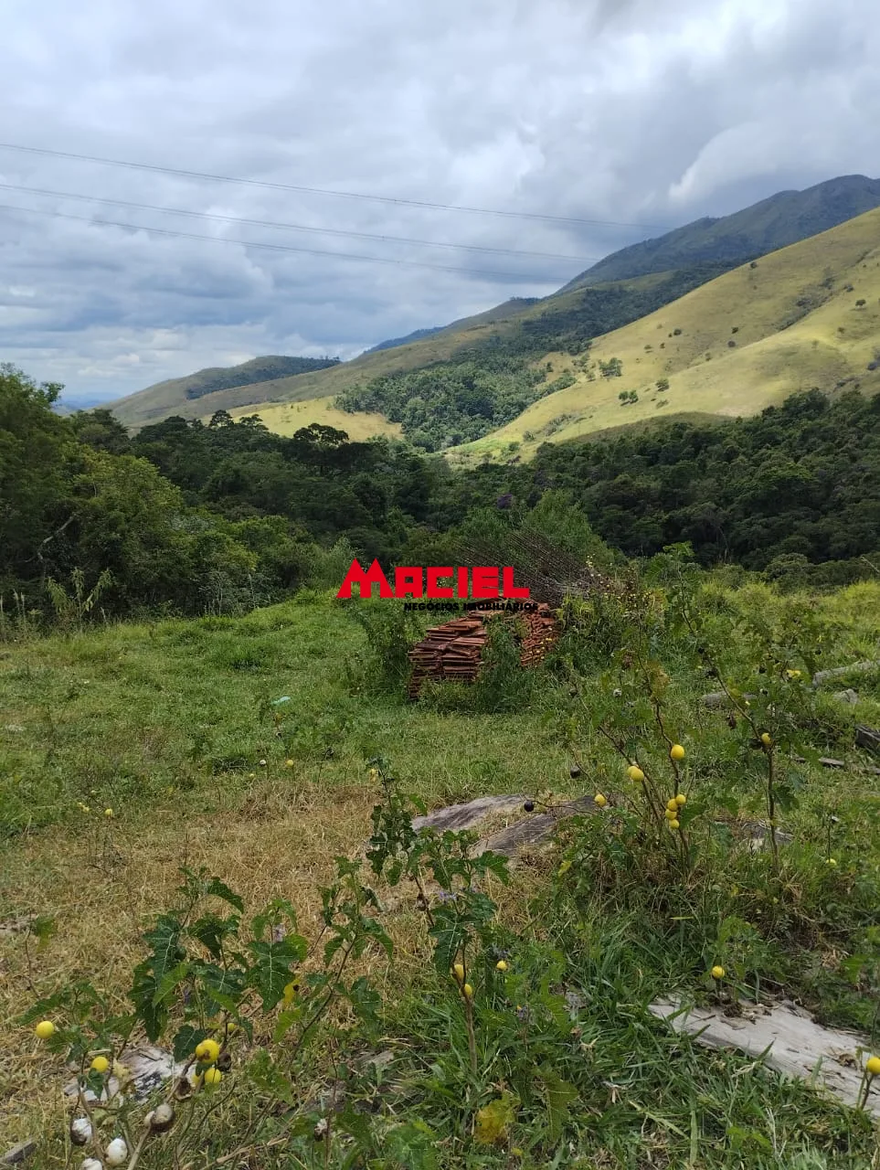 Comprar Terreno / &Aacute;rea em Arape&iacute; R$ 990.000,00 - Foto 1