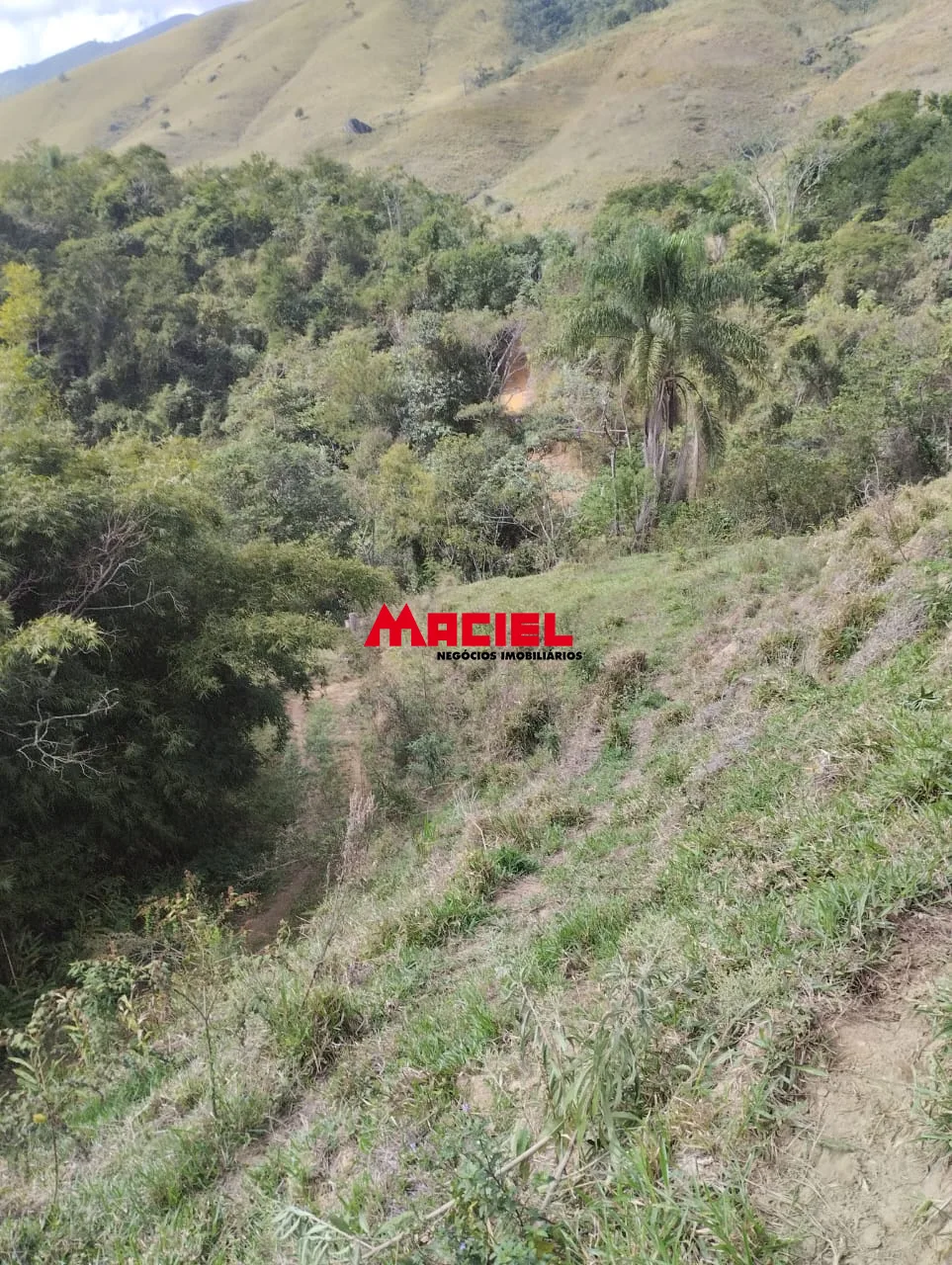 Comprar Terreno / &Aacute;rea em Arape&iacute; R$ 990.000,00 - Foto 8