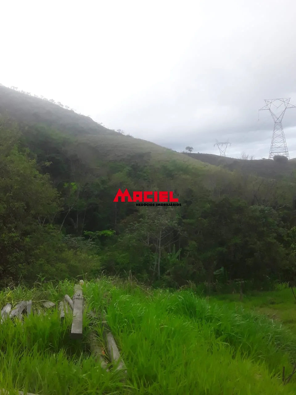 Comprar Terreno / &Aacute;rea em Arape&iacute; R$ 990.000,00 - Foto 4