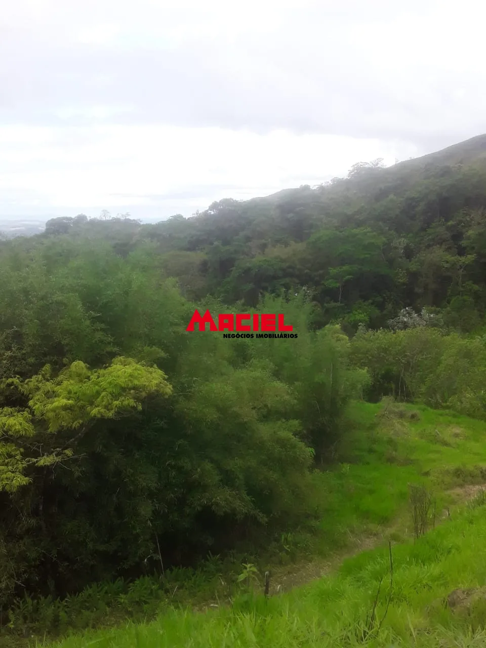 Comprar Terreno / &Aacute;rea em Arape&iacute; R$ 990.000,00 - Foto 5