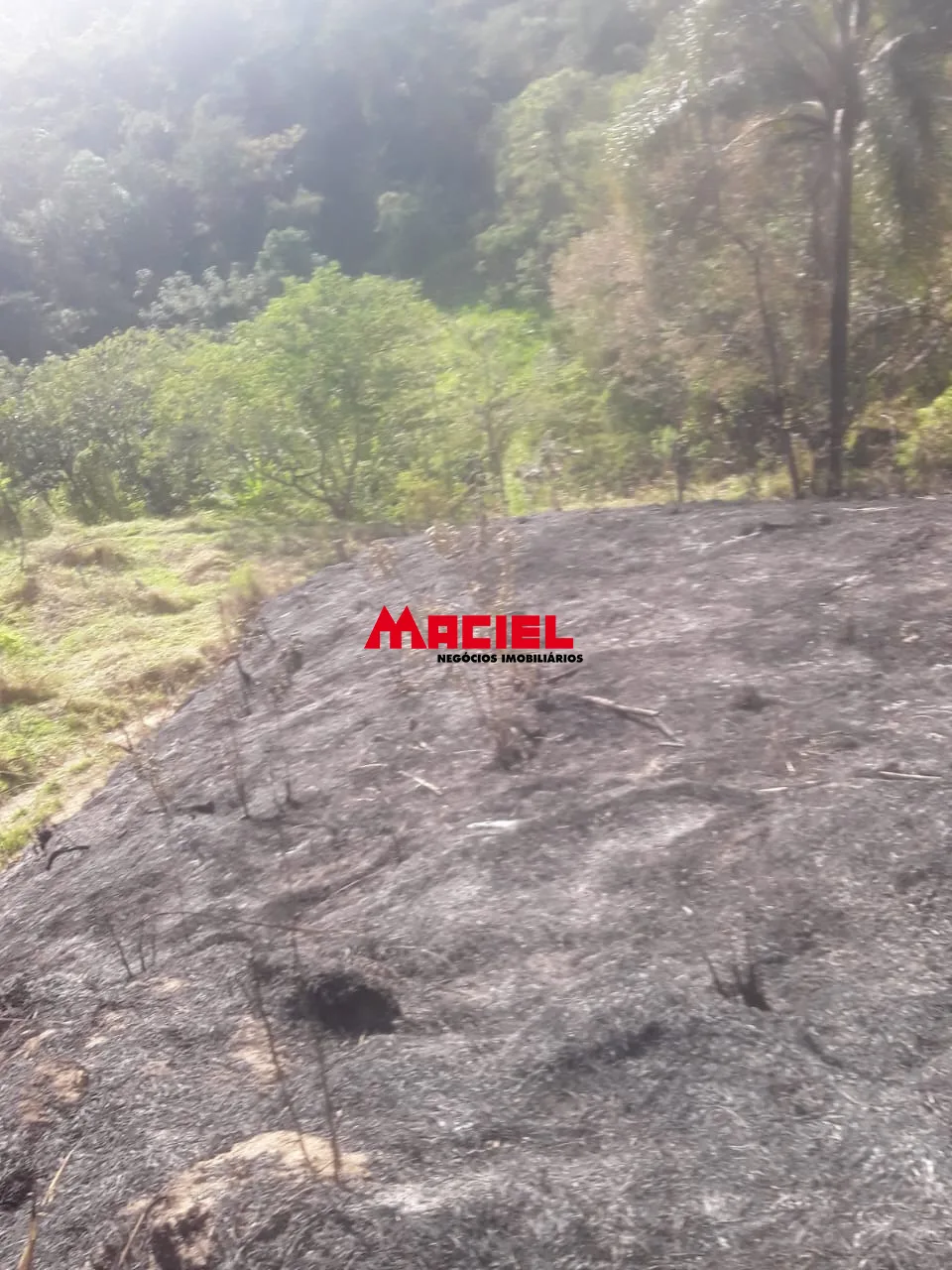 Comprar Terreno / &Aacute;rea em Arape&iacute; R$ 990.000,00 - Foto 10