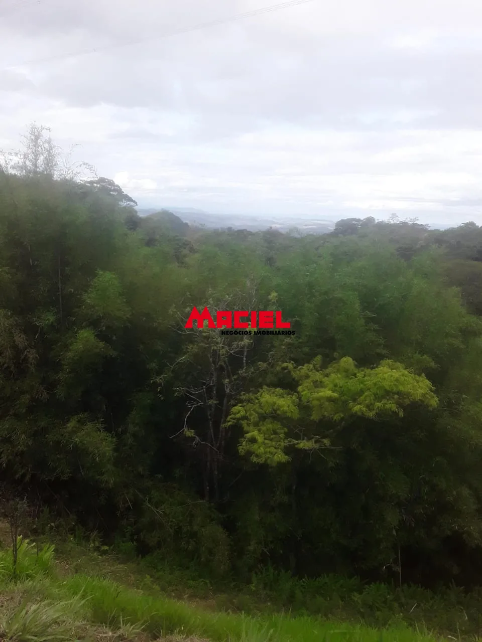 Comprar Terreno / &Aacute;rea em Arape&iacute; R$ 990.000,00 - Foto 6