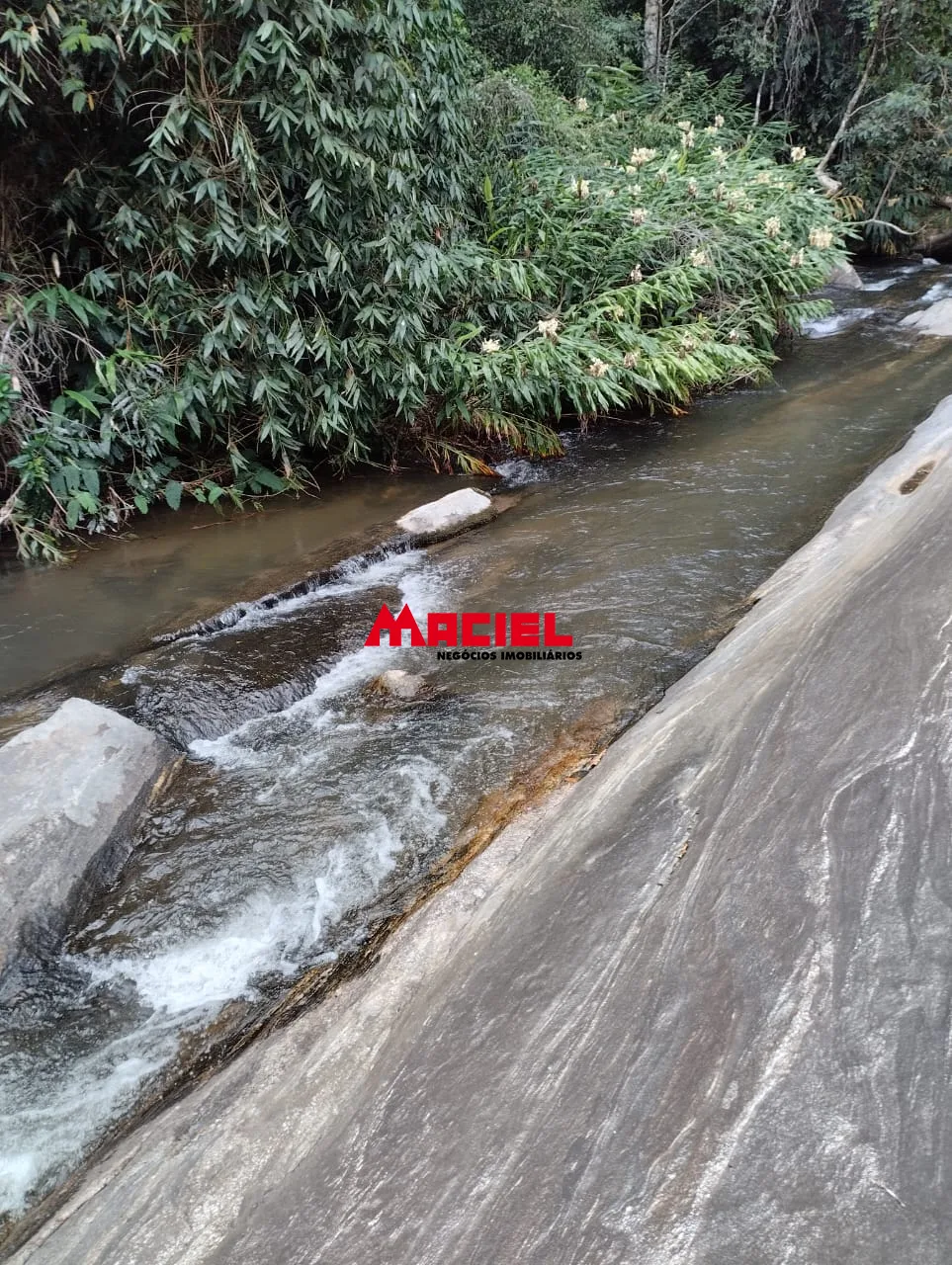 Comprar Terreno / &Aacute;rea em Arape&iacute; R$ 990.000,00 - Foto 20