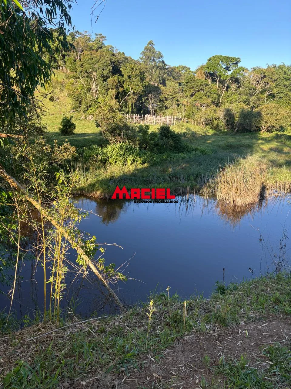 Comprar Rural / S&iacute;tio em Paraibuna R$ 1.450.000,00 - Foto 4
