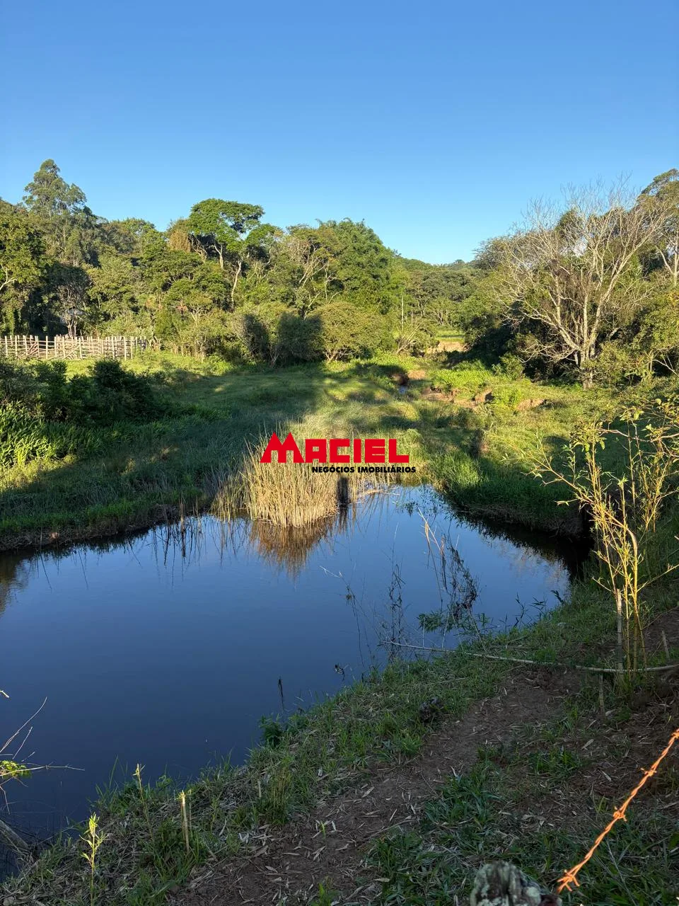 Comprar Rural / S&iacute;tio em Paraibuna R$ 1.450.000,00 - Foto 5