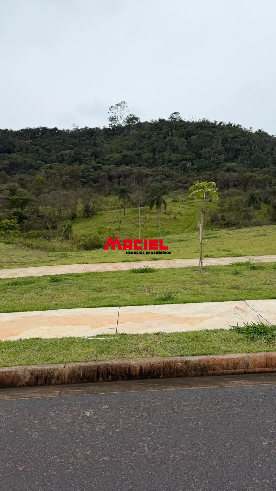 Comprar Terreno / Residencial em S&atilde;o Jos&eacute; dos Campos R$ 277.000,00 - Foto 6