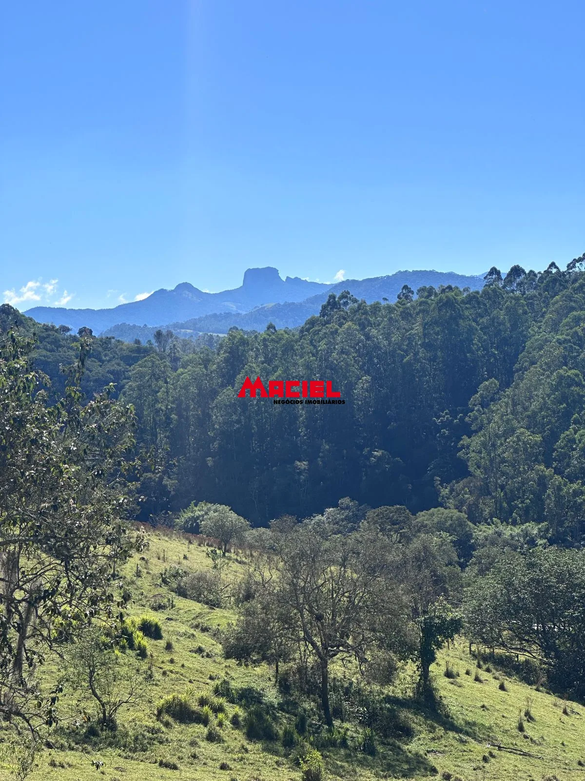 Comprar Terreno / &Aacute;rea em Santo Ant&ocirc;nio do Pinhal R$ 7.000.000,00 - Foto 1