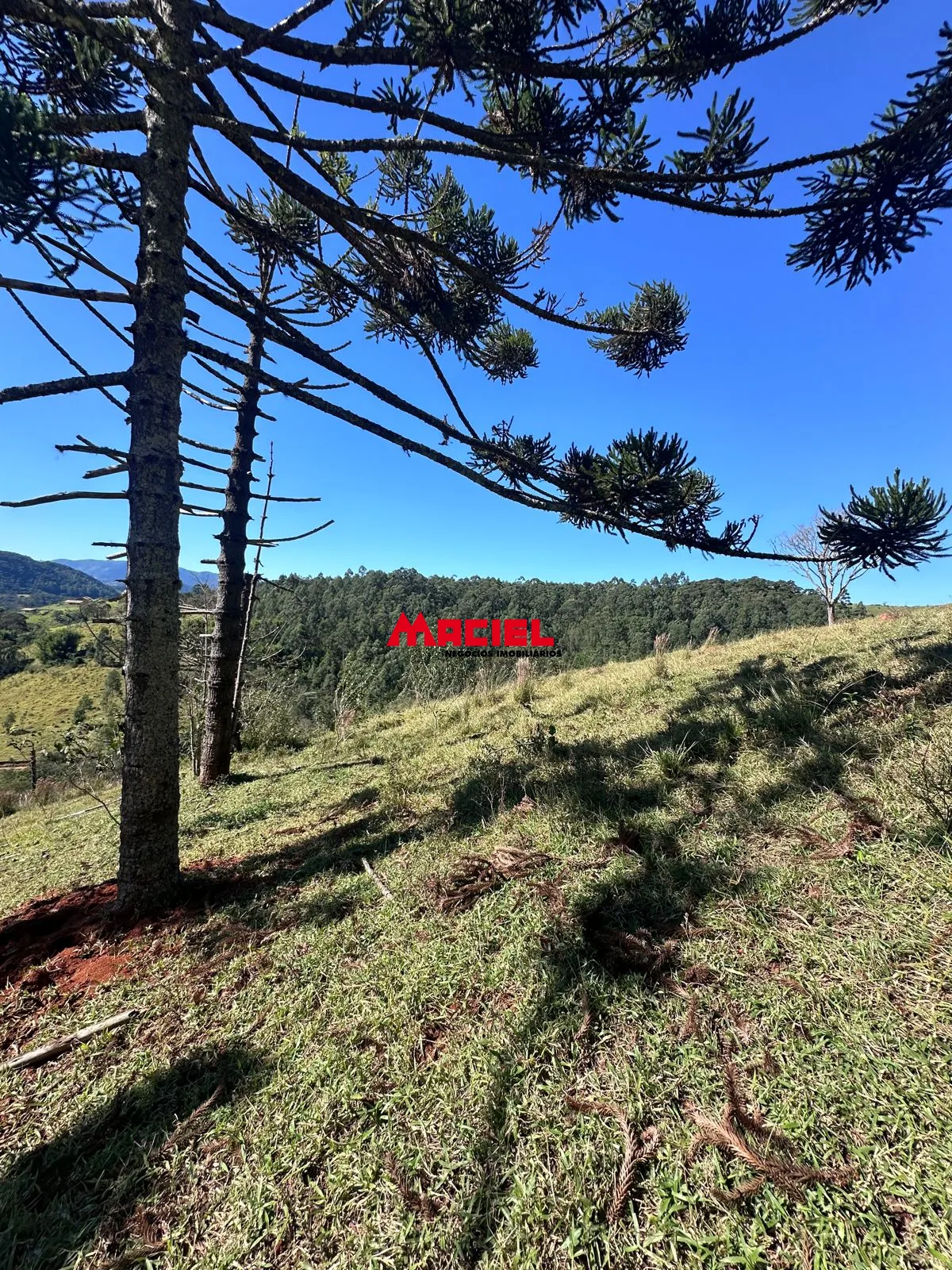 Comprar Terreno / &Aacute;rea em Santo Ant&ocirc;nio do Pinhal R$ 7.000.000,00 - Foto 2