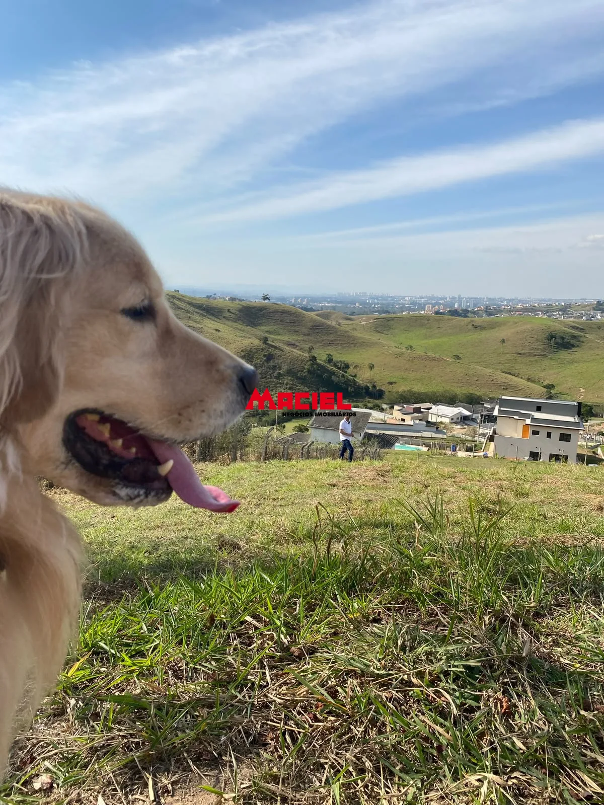 Comprar Terreno / Residencial em Jacare&iacute; R$ 480.000,00 - Foto 8