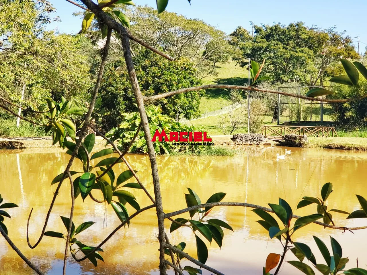 Comprar Terreno / Residencial em Jacare&iacute; R$ 480.000,00 - Foto 9