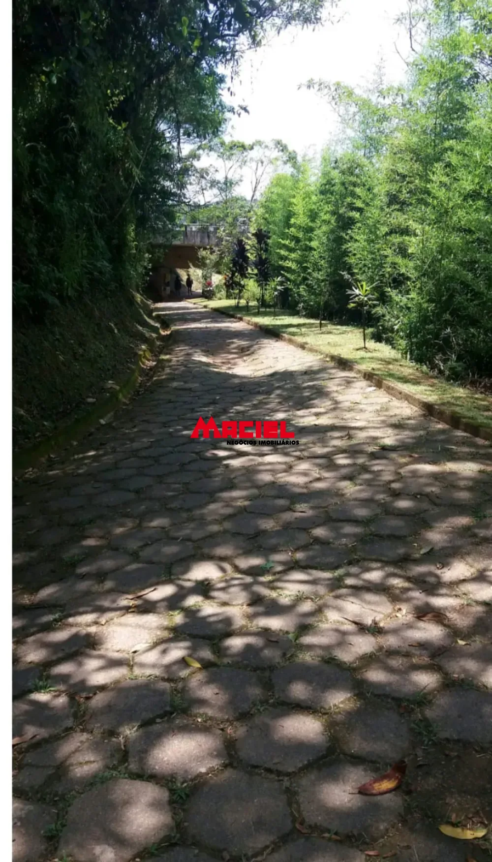 Comprar Terreno / Padr&atilde;o em Caraguatatuba R$ 110.000,00 - Foto 9