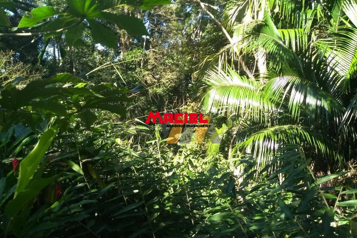 Comprar Terreno / Padr&atilde;o em Caraguatatuba R$ 110.000,00 - Foto 11