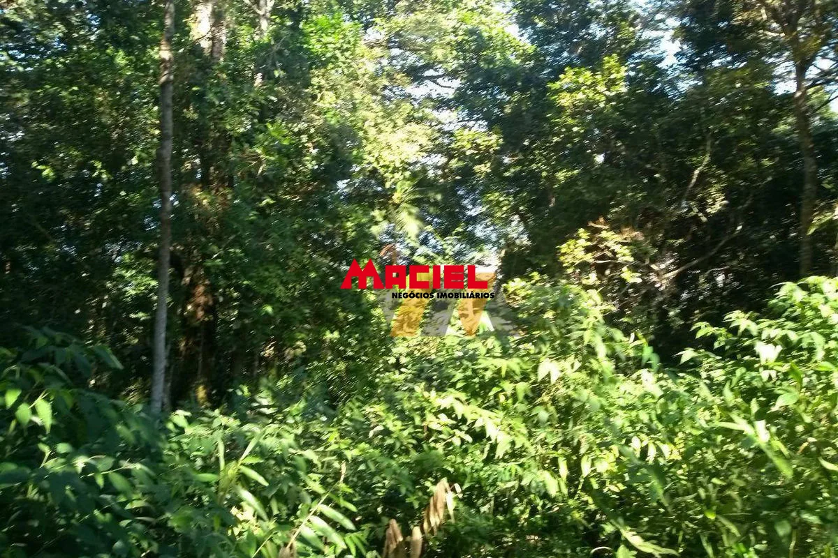 Comprar Terreno / Padr&atilde;o em Caraguatatuba R$ 110.000,00 - Foto 13