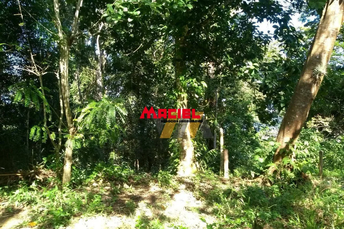 Comprar Terreno / Padr&atilde;o em Caraguatatuba R$ 110.000,00 - Foto 14