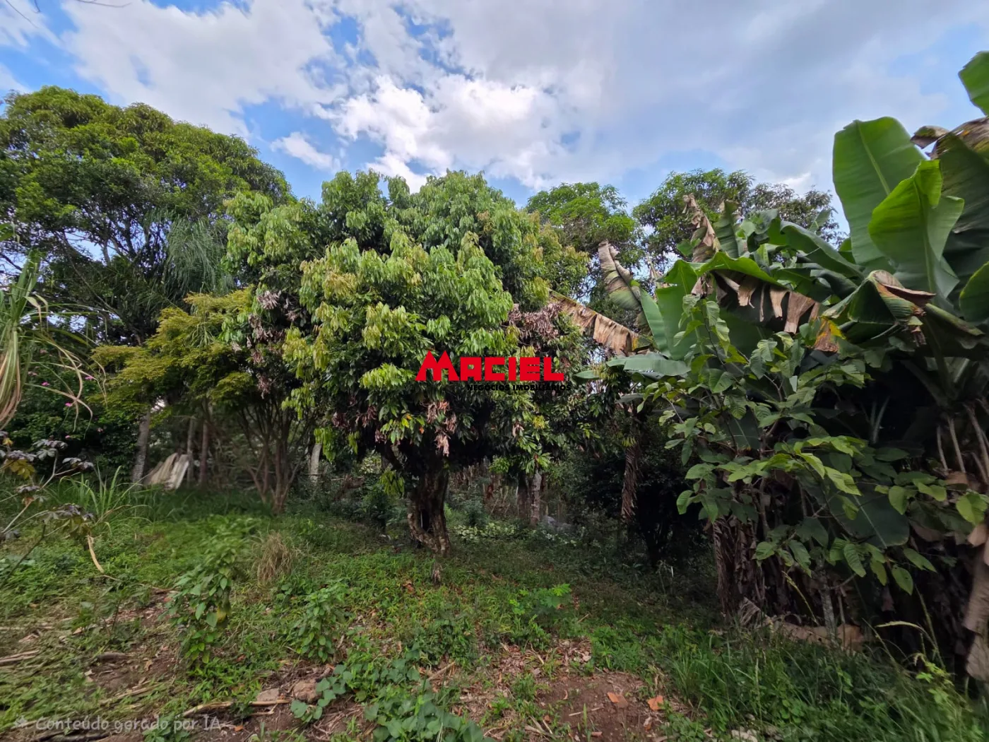Comprar Casa / Padr&atilde;o em S&atilde;o Jos&eacute; dos Campos R$ 800.000,00 - Foto 31